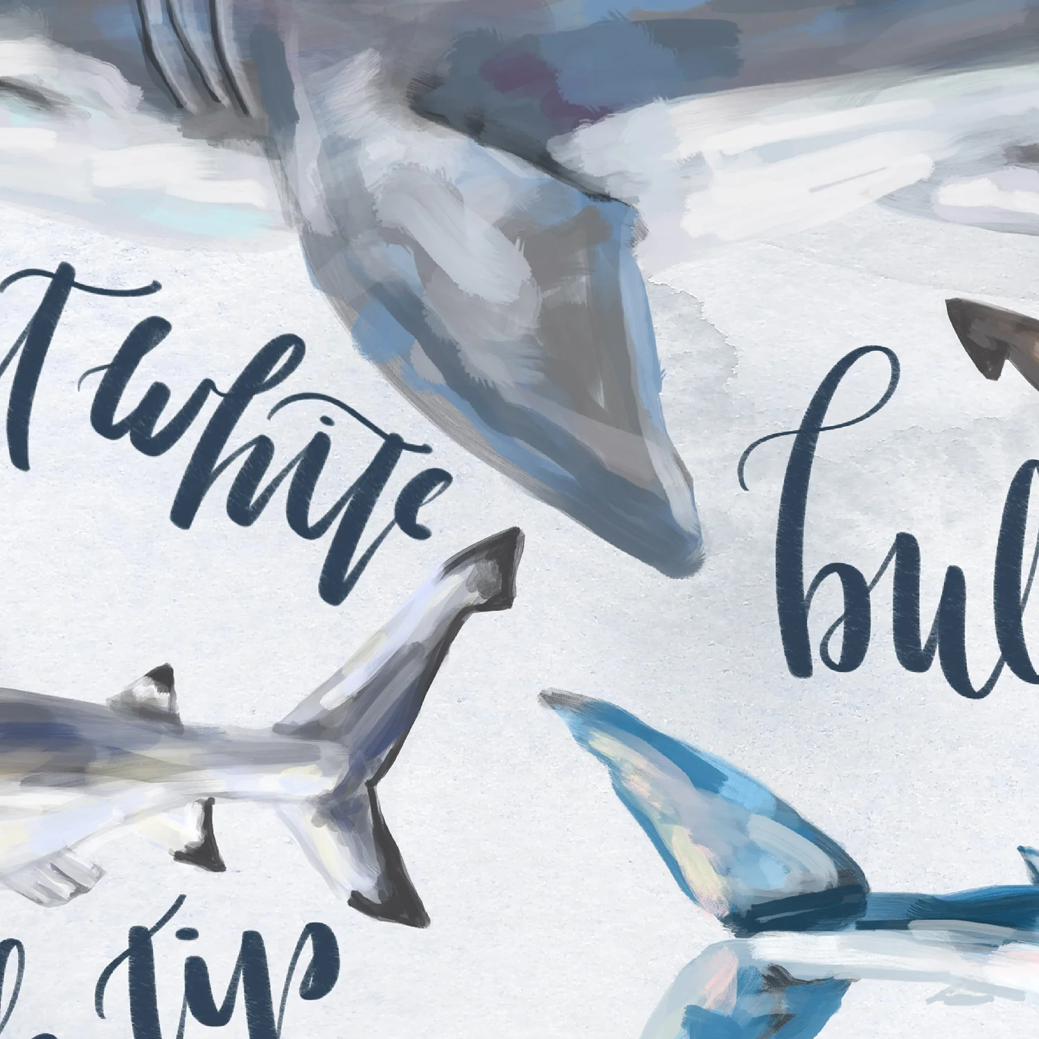Thumbnail 13